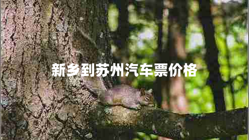 新鄉到蘇州汽車(chē)票價(jià)格