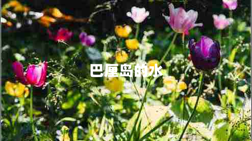 巴厘島的水