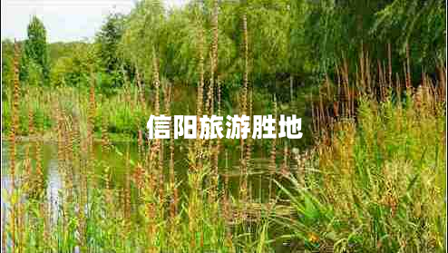 信陽(yáng)旅游勝地