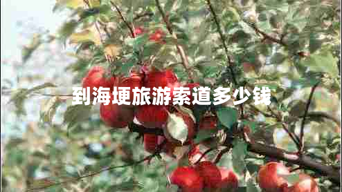 到海埂旅游索道多少錢(qián)