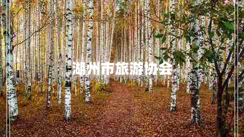 湖州市旅游協(xié)會(huì )