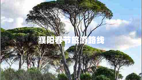濮陽(yáng)春節旅游路線(xiàn)
