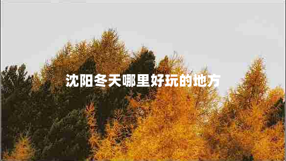 沈陽(yáng)冬天哪里好玩的地方