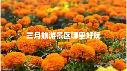 三月旅游景區哪里好玩