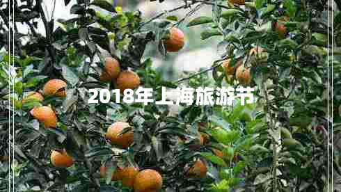 2018年上海旅游節