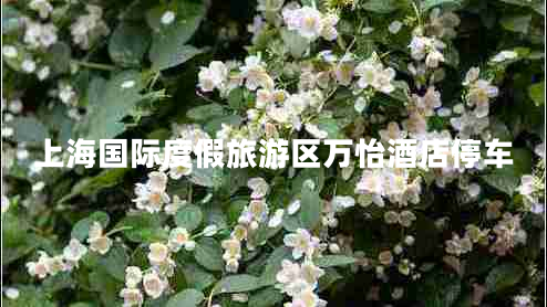 上海國際度假旅游區萬(wàn)怡酒店停車(chē)