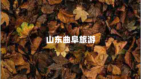 山東曲阜旅游