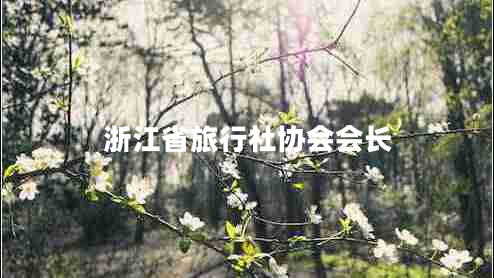 浙江省旅行社協(xié)會(huì )會(huì )長(cháng)