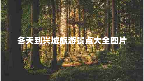 冬天到興城旅游景點(diǎn)大全圖片