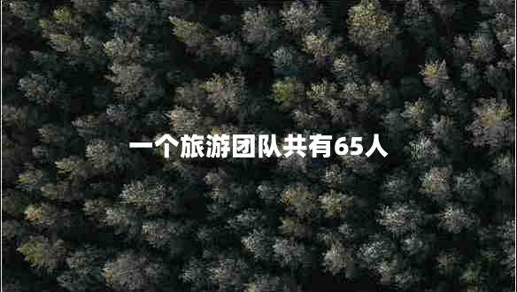 一個(gè)旅游團隊共有65人