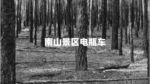 南山景區電瓶車(chē)