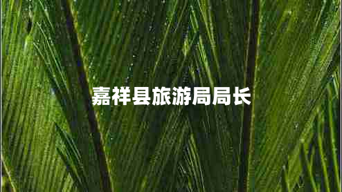 嘉祥縣旅游局局長(cháng)