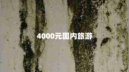 4000元國內旅游
