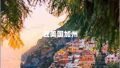 去美國加州