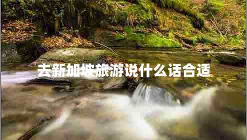去新加坡旅游說(shuō)什么話(huà)合適