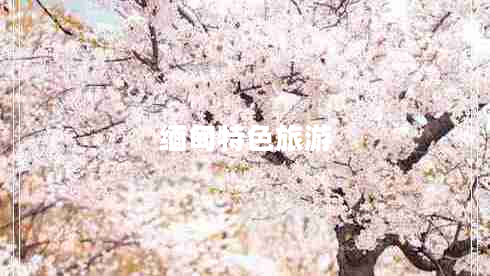 緬甸特色旅游