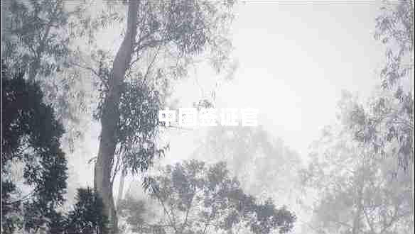 中國簽證官
