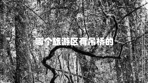 哪個(gè)旅游區有吊橋的