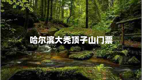 哈爾濱大禿頂子山門(mén)票