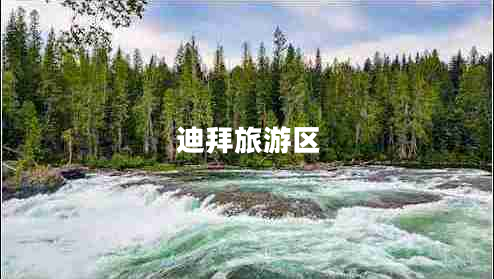 迪拜旅游區