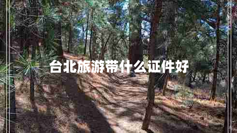 臺北旅游帶什么證件好
