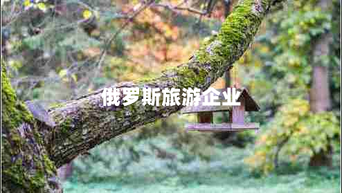 俄羅斯旅游企業(yè)