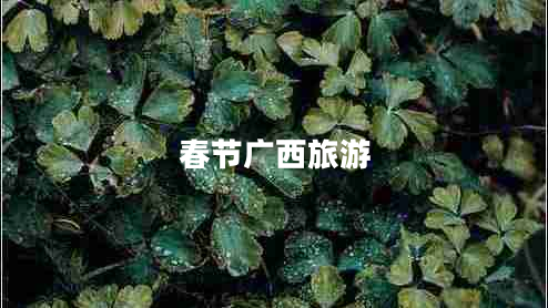 春節廣西旅游