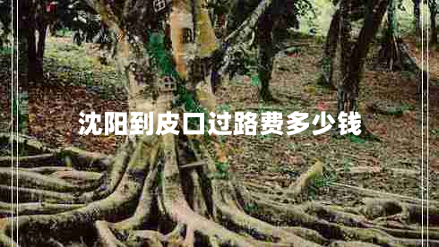 沈陽(yáng)到皮口過(guò)路費多少錢(qián)