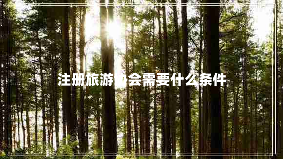 注冊旅游協(xié)會(huì )需要什么條件