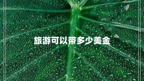 旅游可以帶多少美金
