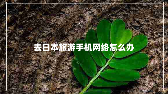 去日本旅游手機網(wǎng)絡(luò )怎么辦