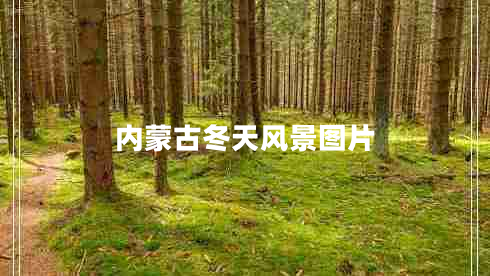 內蒙古冬天風(fēng)景圖片