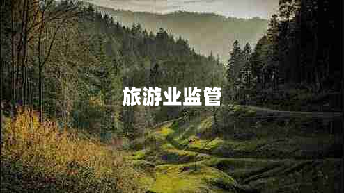 旅游業(yè)監管