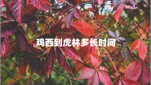 雞西到虎林多長(cháng)時(shí)間