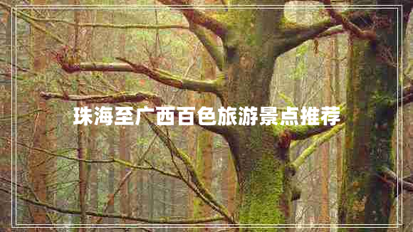 珠海至廣西百色旅游景點(diǎn)推薦
