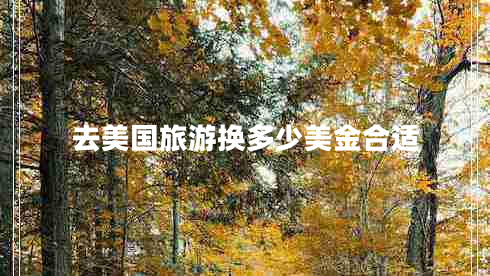 去美國旅游換多少美金合適