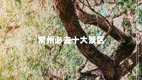 常州必去十大景區