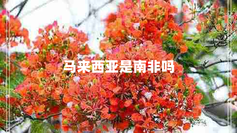 馬來(lái)西亞是南非嗎
