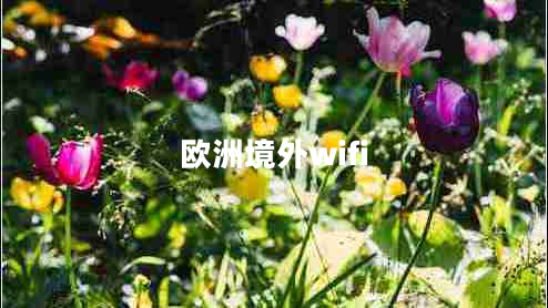 歐洲境外wifi
