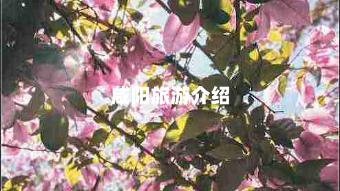 咸陽(yáng)旅游介紹