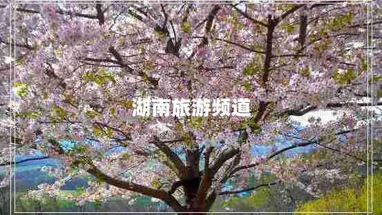 湖南旅游頻道