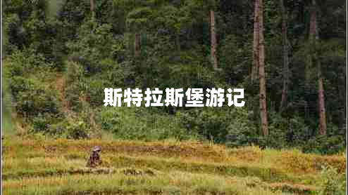 斯特拉斯堡游記