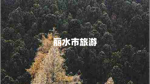 麗水市旅游