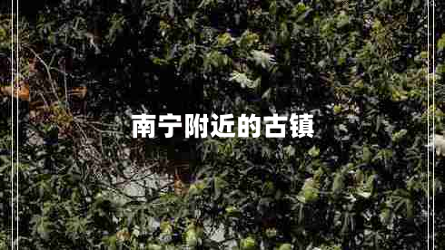 南寧附近的古鎮