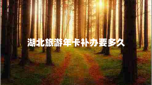 湖北旅游年卡補辦要多久