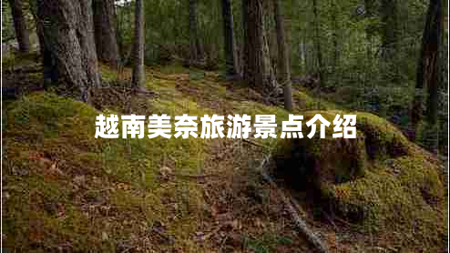 越南美奈旅游景點(diǎn)介紹