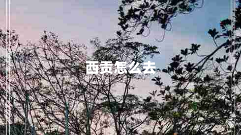 西貢怎么去