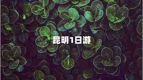 昆明1日游