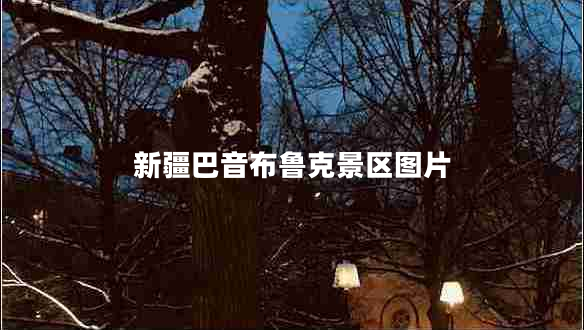 新疆巴音布魯克景區圖片