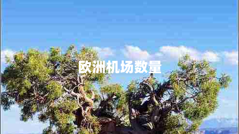 歐洲機場(chǎng)數量